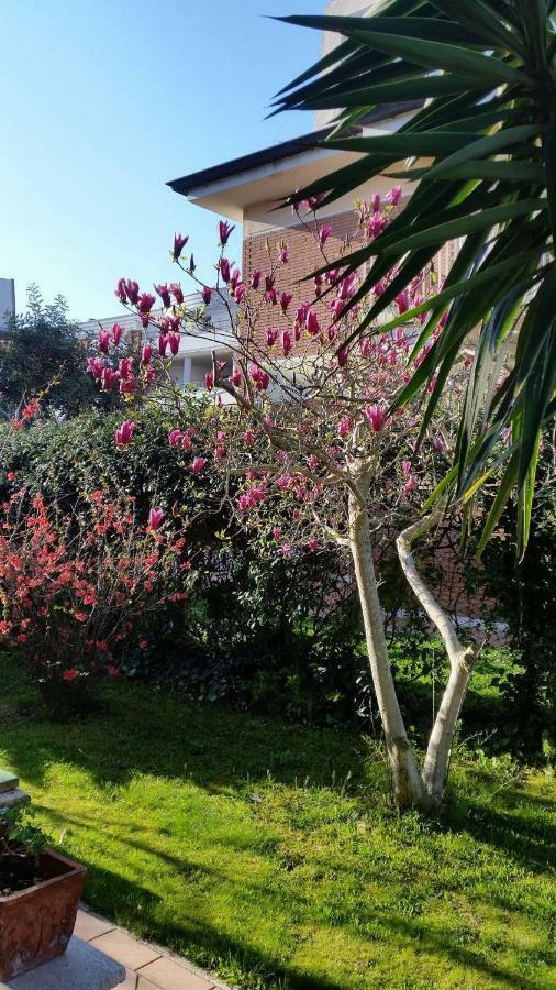Home Denise E Luca Latina Luaran gambar