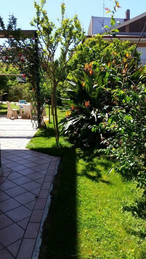 Home Denise E Luca Latina Luaran gambar