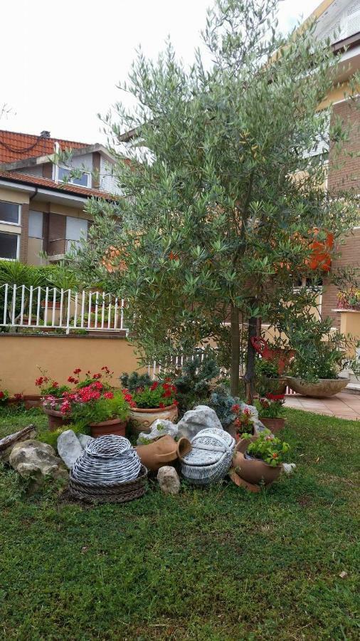 Home Denise E Luca Latina Luaran gambar
