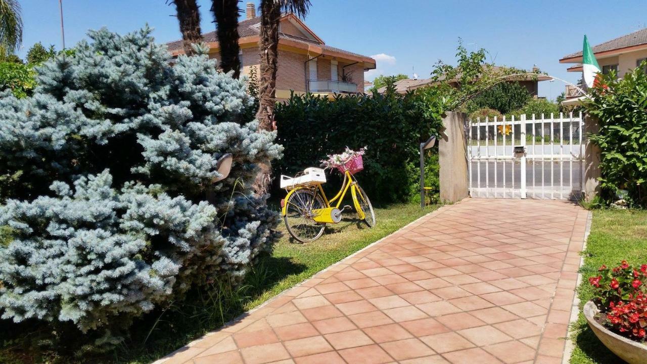 Home Denise E Luca Latina Luaran gambar