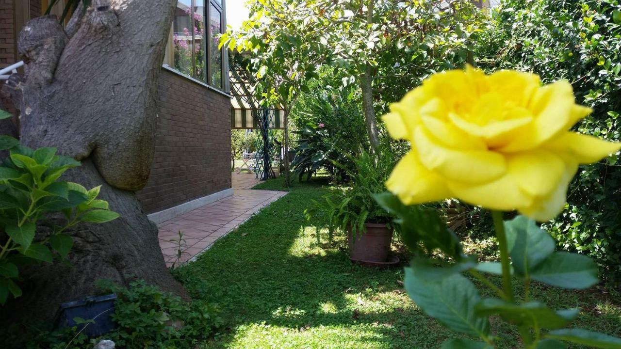 Home Denise E Luca Latina Luaran gambar