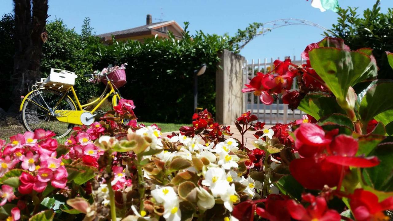 Home Denise E Luca Latina Luaran gambar